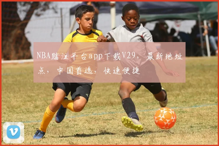NBA赌注平台app下载V29，最新地址点，中国首选，快速便捷