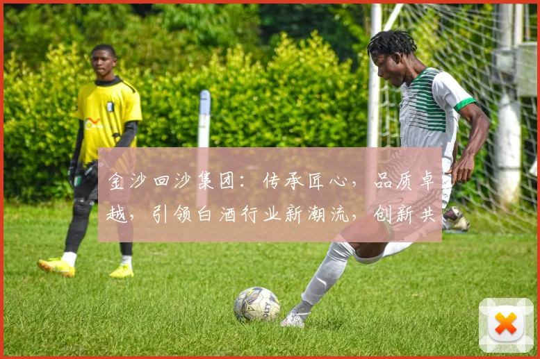 金沙回沙集团：传承匠心，品质卓越，引领白酒行业新潮流，创新共赢，共铸辉煌