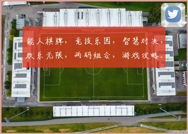 能人棋牌，竞技乐园，智慧对决，欢乐无限，两码组合，游戏攻略。