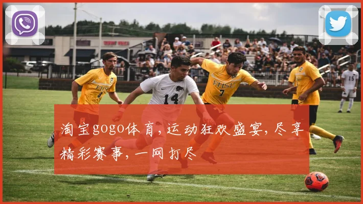 淘宝gogo体育,运动狂欢盛宴,尽享精彩赛事,一网打尽