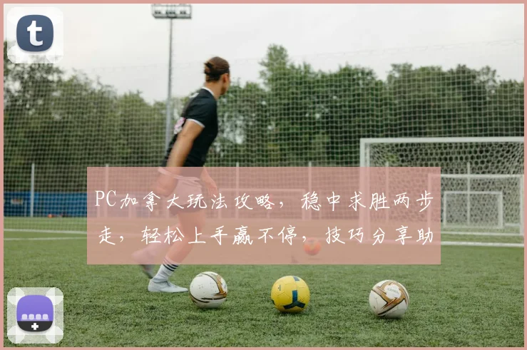 PC加拿大玩法攻略，稳中求胜两步走，轻松上手赢不停，技巧分享助你一臂之力